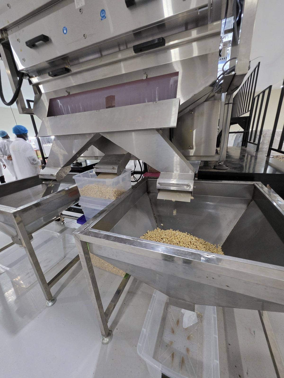Stainless steel grading and sorting equipment for cashew kernels