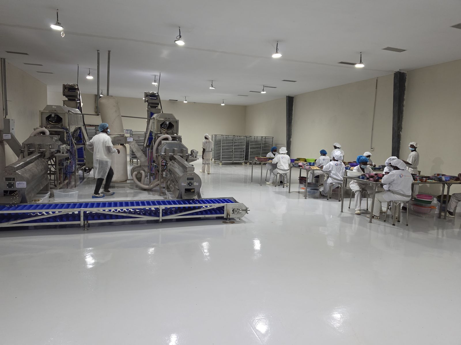 Peeling and final sorting hall with quality-control stations
