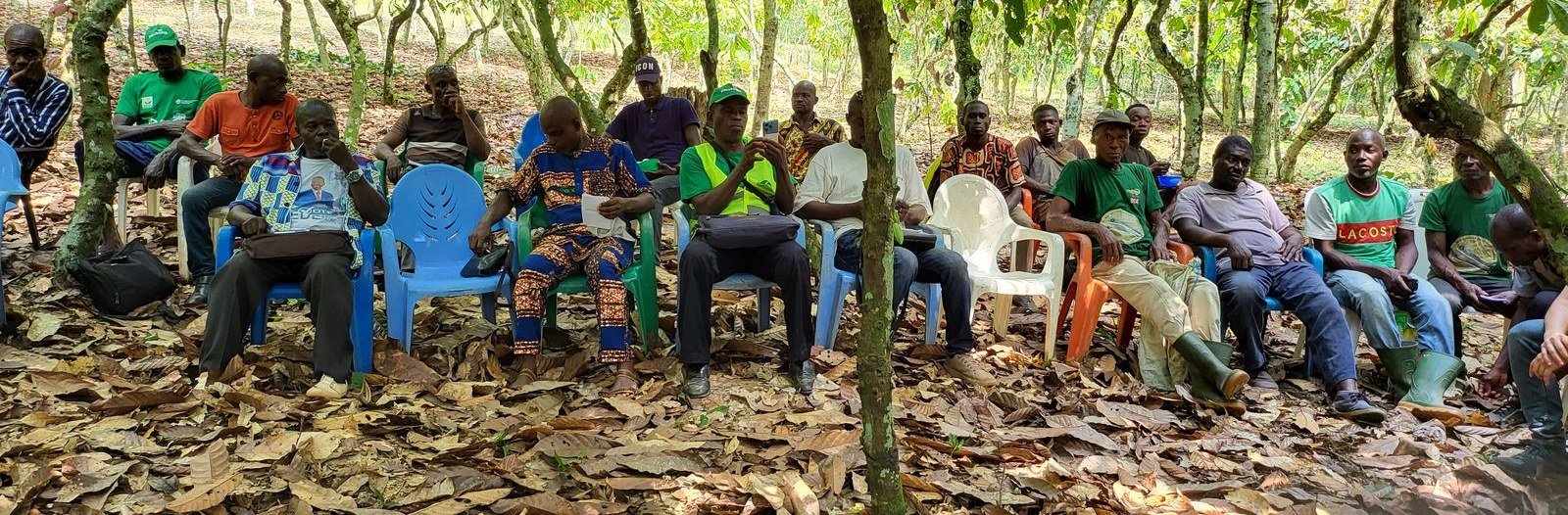 Members of the COOP-CA-ECAAF cooperative gathered under the cocoa canopy in Affery