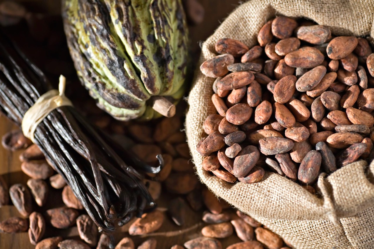 Cocoa and vanilla products overview